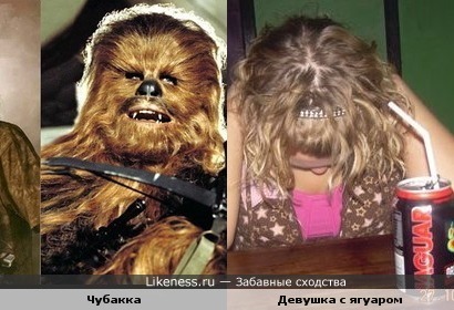 Волосы и заколка девушки с ягуаром напоминают лицо чубакки