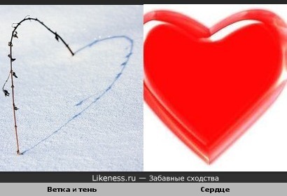 Ветка похожа на серце