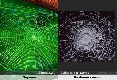 Паутина похожа на разбитое стекло