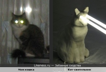 Лёля похожа на светильник