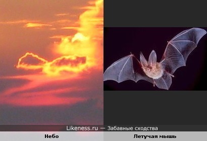 Небо похоже на летучую мышь