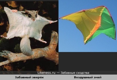 Забавное сходство