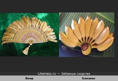 Забавное сходство