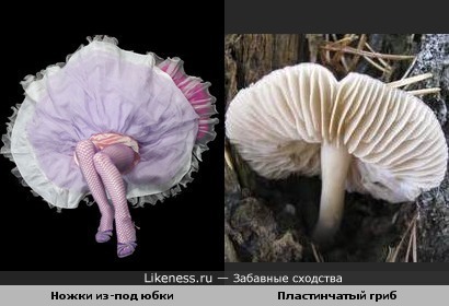 Ножки из под юбки видео