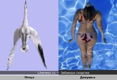 Забавное сходство