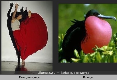 Забавное сходство