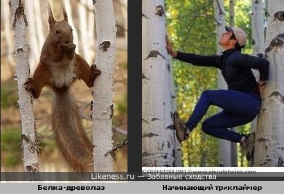 У каждого свой способ подняться вверх,но цель одна...
