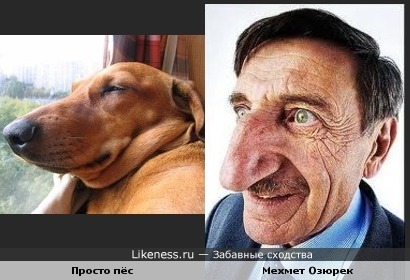 мехмет озюрек фото онлайн мехмет озюрек фото