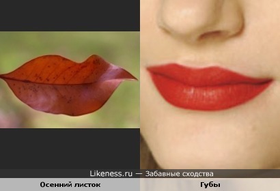 Улыбка природы