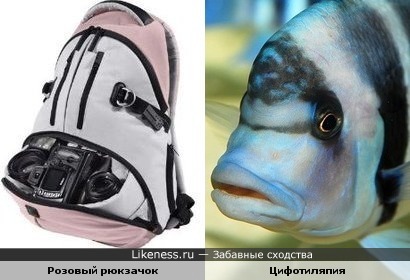 Рюкзачок похож на голову рыбы