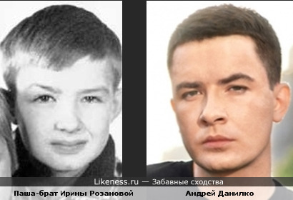 Они похожи