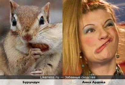 Бурундук и Анна Ардова