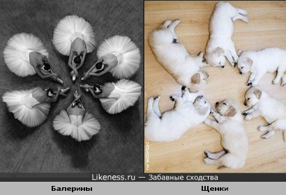 Крис эванс причёска Крис эванс причёска