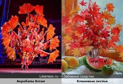 Акробаты Китая напоминают букет из кленовых листьев