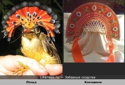 Птица в кокошнике