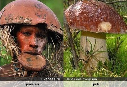 Дикая мода аборигенов