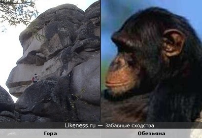 Эта гора похожа на профиль шимпанзе