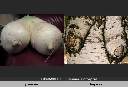 Эротика в природе