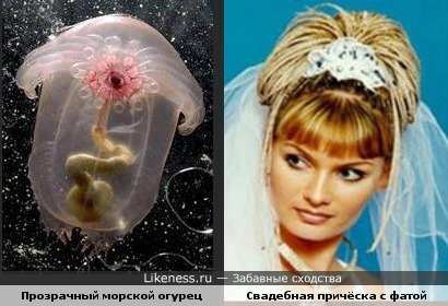 Уход за сумкой из кожзам Уход за сумкой из кожзам