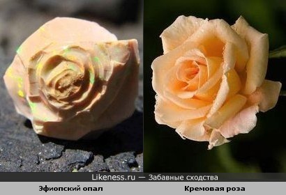 Каменный цветок