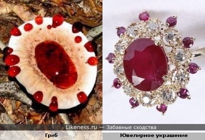 Природа — лучший ювелир! (Ювелирные украшения с рубинами)