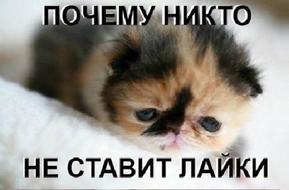 Плед крючком - как связать плед крючком? Схема вязания? О Порядке направления избирателям приглашений для участия в выборах