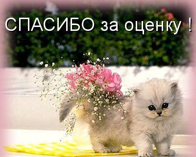 открытки спасибо за оценки фото онлайн открытки спасибо за оценки фото