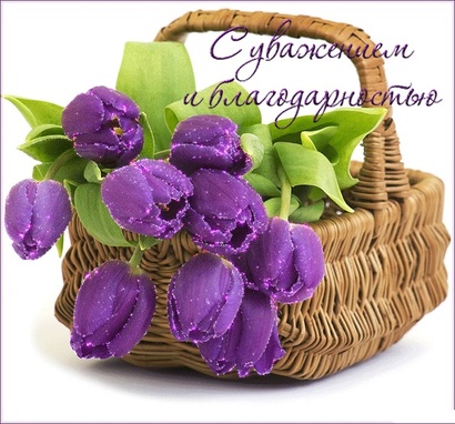 Открытки для вас с уважением Открытки для вас с уважением