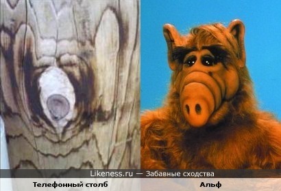Структурный рисунок на телефонном столбе напомнил Альфа