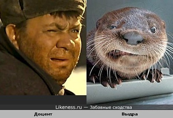 otter_leonov_big.jpg
