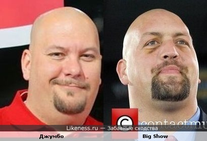 Рестлер Big Show похож на Джумбо из Галилео