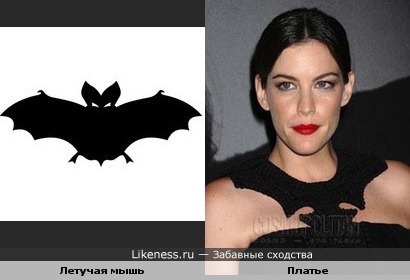 Бэтгёрл Тайлер