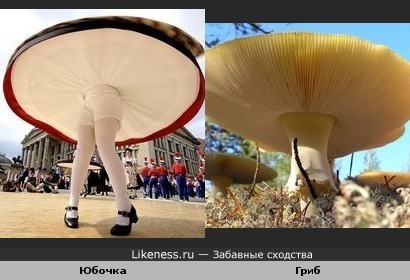 Танцующая девушка напоминает грибочек!