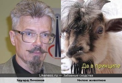 Вы тоже видите эту схожесть?