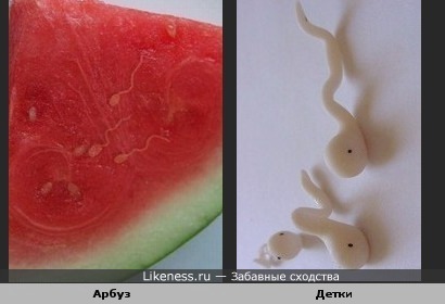 Проросшие семечки арбуза похожи на головастиков
