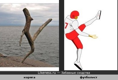Коряга похожа на футболиста