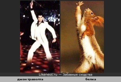 Танцуют все!