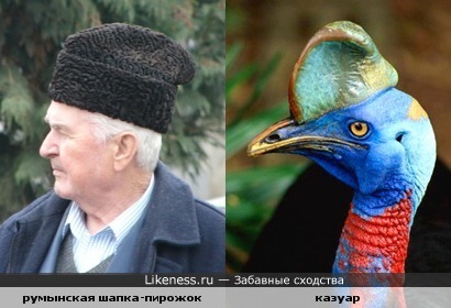 Похожие шапочки
