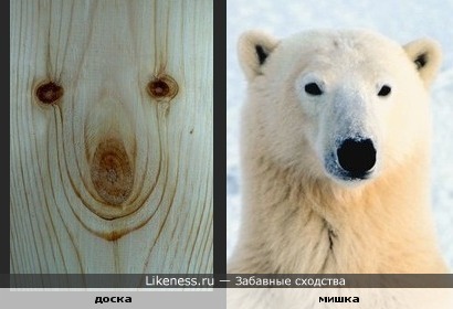 Сучочки на доске похожи на мишку.