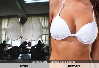 Шторы в офисе похожи на бюстгалтер.