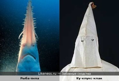 Рыба-пила похожа на маску ку-клукс-клана