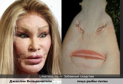Женщина-кошка и рыба-пила