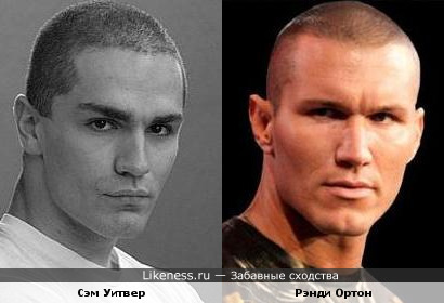Сэм Уитвер похож на Рэнди Ортона