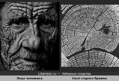 Лицо старика похоже на старое дерево
