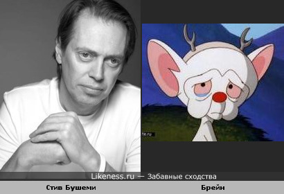 У них такие похожие глаза.