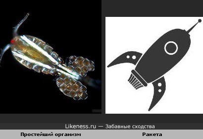От малого до большого!
