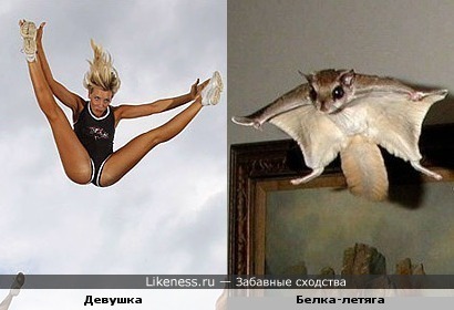 Летяги!