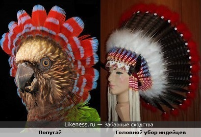 "А у меня своя красота!"