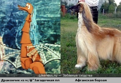 Дракончик из мультфильма похож на афганскую борзую.