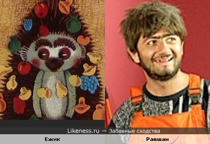 Ежик похож на Равшана.